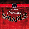 Savarez Alliance Cantiga