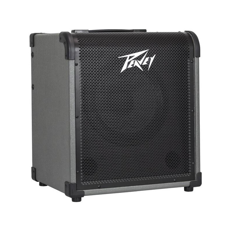 Peavey MAX100, Bass Combo