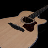 Seagull Maritime SWS CH CW SG Presys II