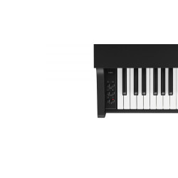 KAWAI CX102