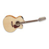 Takamine 12 Streng