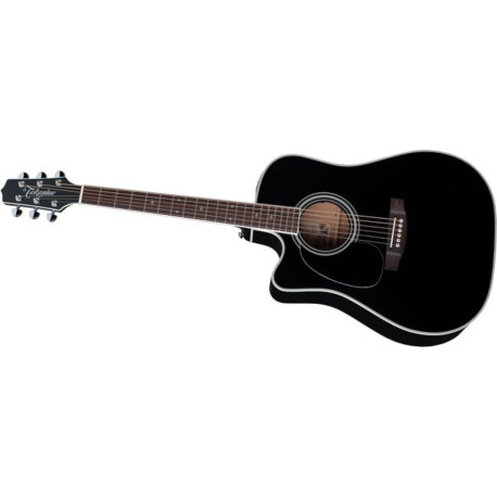 TAKAMINE