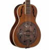 Washburn Dobro m/kuffert