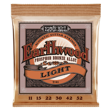 Ernie Ball Earthwood Light