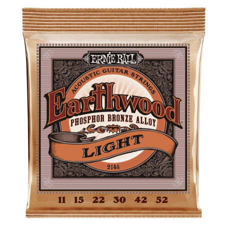 Ernie Ball Earthwood Light
