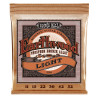 Ernie Ball Earthwood Light