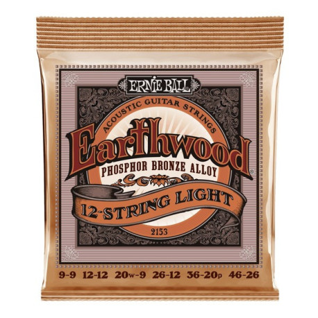 Ernie Ball Earthwoos 12 String