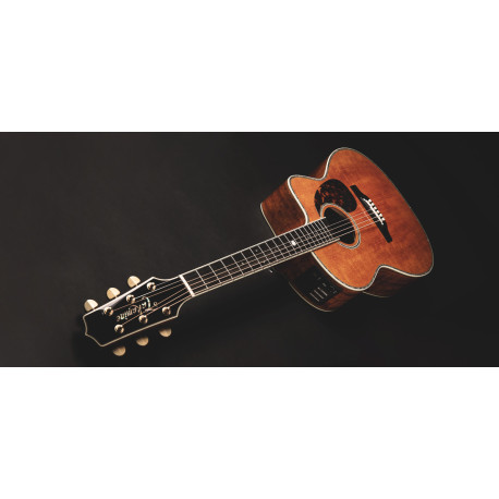 Takamine LTD 2022