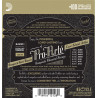 D'addario Pro Arte EJ45C nylonstrenge