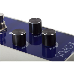 Foxgear Korus Vintage Analog Chorus