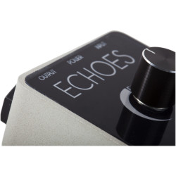 Foxgear Echoes Delay