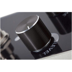 Foxgear Echoes Delay