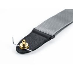 Schaller Security Lock Gold