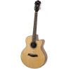 Ibanez AEL108MD-NT1201