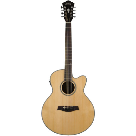 Ibanez AEL108MD-NT1201