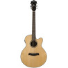 Ibanez AEL108MD-NT1201