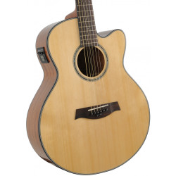 Ibanez AEL108MD-NT1201