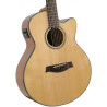 Ibanez AEL108MD-NT1201