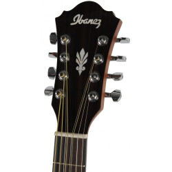 Ibanez AEL108MD-NT1201