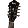 Ibanez AEL108MD-NT1201
