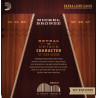 D'Addario Nickel Bronze akustisk 10-47