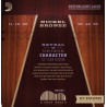 D'Addario Nickel bronze akustisk 11-52
