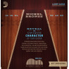 D'Addario Nickel bronze Akustisk 12-53