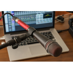 sE Electronics DM1