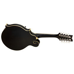 Ortega RMF40SBK Mandolin M. Mic