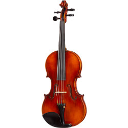 Strunal-Schönbach Parma-W-A Violin