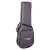 Takamine Bag