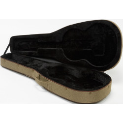Ibanez FS40CL Softcase