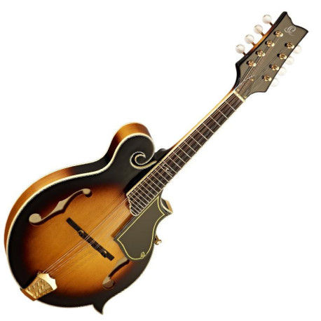 Ortega Mandolin RMFE90TS