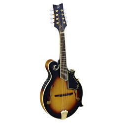 Ortega Mandolin RMFE90TS
