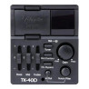 Takamine 12 Streng