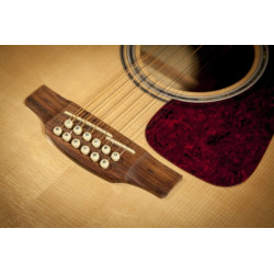 Takamine 12 Streng