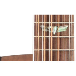 Takamine 12 Streng