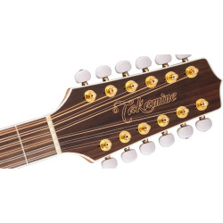 Takamine 12 Streng
