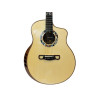 Merida POISON Western Guitar