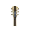 Merida POISON Western Guitar