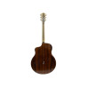 Merida POISON Western Guitar