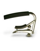 Guitar Capo