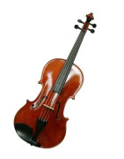 Viola