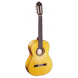 Ortega R270F
