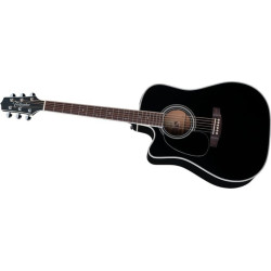 TAKAMINE