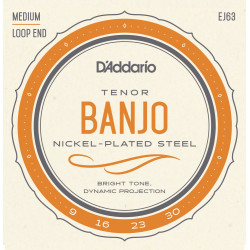 D'Addario EJ63 Banjostrenge