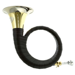 Dotzauer Fürst Pless 18810 jagthorn