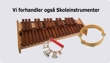Skoleinstrumenter
